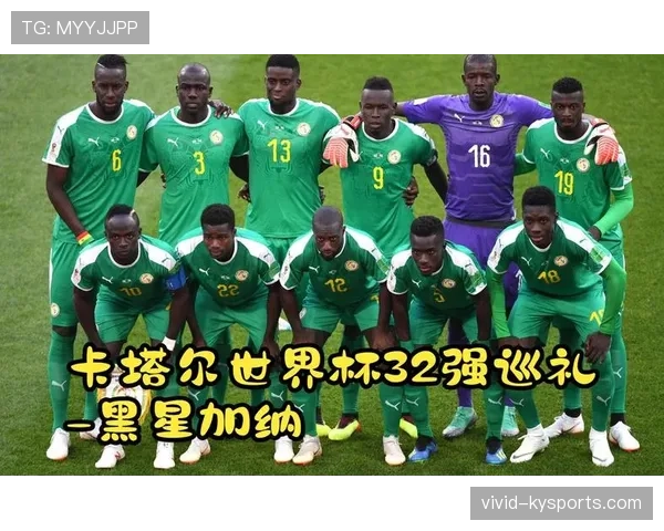 加纳世界杯L组全方位深度解析 加纳世界杯L组全方位深度解析